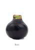 Wax Amaryllis Bulbs - Red
