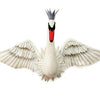 Odette Swan Head with Open Wings - Hand-Felted Organic Wool