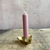 Oxalis Candle Holders - Brass