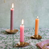 Oxalis_Candle_Holders_-_Brass_D