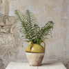 Rustic Glazed Jar Vase with Handles - Dijon