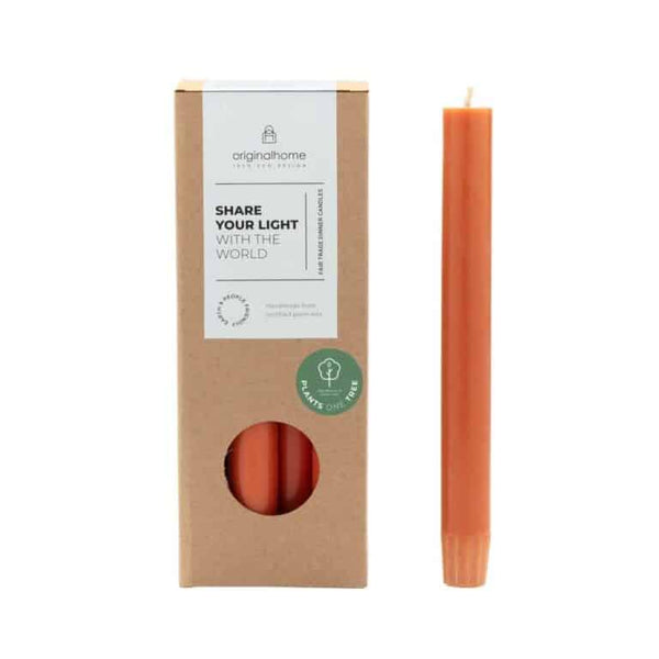 Plant-Based Dinner Candle - Set of Ten  - Terra