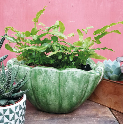 Vintage Style Crackled Glaze Shell Planter<br>