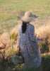 Sphinx Plaster Pink Pinch Pleat Dress - One Hundred Stars