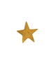 Brass Star Nail - Boncoeurs