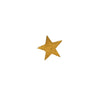 Brass Star Nail - Boncoeurs