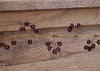 Wooden Beaded Garland - Brass and Ruby Red