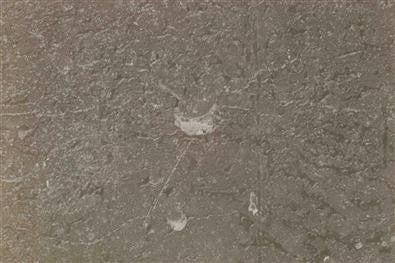 Rustic Pillar Candles - Mouse Grey, Taupe, White Asparagus or Anthracite - Greige - Home & Garden - Chiswick, London W4 