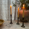 Tulip Iron Candle Holder - Old Gold - Three Sizes