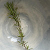 Wonki Ware Soup Bowl - Duck Egg Wash