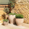 Ribbed Beehive Shape Terracotta Planter - Skopelos - Three Size Options