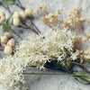 Faux Cream Allium Stem - Three Flowerheads per Stem