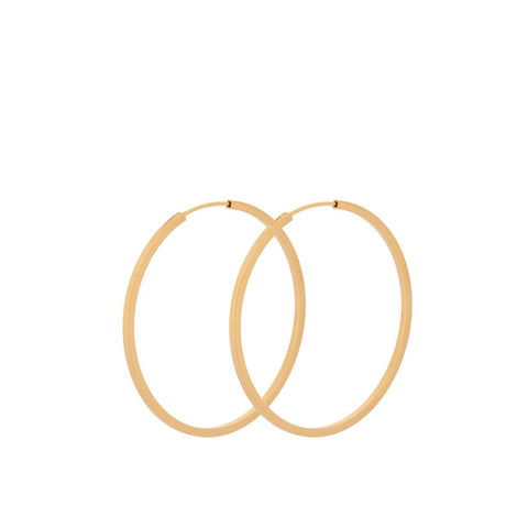 Small Orbit Hoop Earrings - Gold - Pernille Corydon