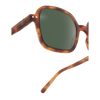 Izipizi Sunglasses - Style Office (oversized, square) - Havane