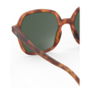 Izipizi Sunglasses - Style Office (oversized, square) - Havane