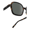 Izipizi Sunglasses - Style Office - Tortoise