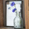 Mini Apothecary Jar Candle Holder or Vase