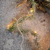 LED Star Wreath - Two Sizes