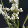 Faux Gypsophila