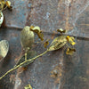 Brass Forget Me Not Hanging Decoration - Walther & Co, Denmark