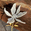 White Poinsettia Flower Stem - Botanical Range - Walther & Co