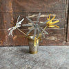 Silver Beauty Flower Stem - Botanical Range - Walther & Co