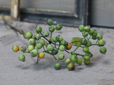 Faux Winterberry Stem - Greige - Home & Garden - Chiswick, London W4 