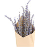 Dried Lavender Bunch