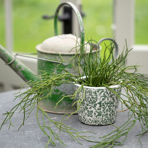 Faux Trailing Grass Plant in Pot