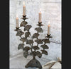 Antique Brass Ginkgo Leaf Candelabra