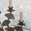 Antique Brass Ginkgo Leaf Candelabra