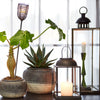 Antiqued Metal Albi Lantern - Three Sizes - Greige - Home & Garden - Chiswick, London W4 