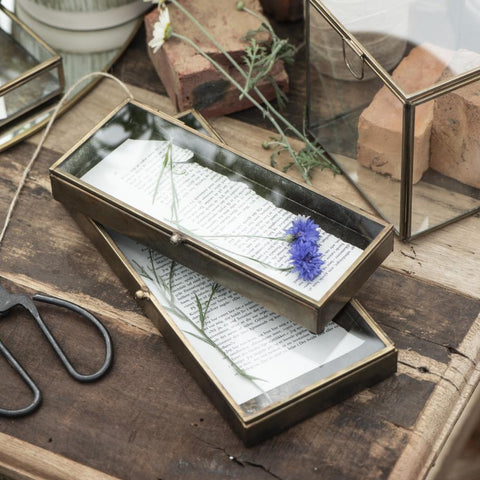 Long Antiqued Brass Box with Glass Lid