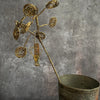 Brass Beaded Cow Parsley - Botanical Range - Walther & Co