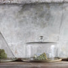 Mango Wood Cake Plate with Flat Top Recycled Glass Dome - Greige - Home & Garden - Chiswick, London W4 