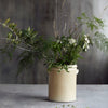 Ceramic Flowerpot or Utensil Pot - Sand - Three Sizes - vintage style