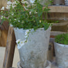 Aged Terracotta Rose Pot - Various Sizes - Greige - Home & Garden - Chiswick, London W4 