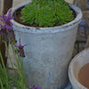 Aged Terracotta Rose Pot - Various Sizes - Greige - Home & Garden - Chiswick, London W4 