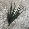 Faux Agave - Greige - Home & Garden - Chiswick, London W4 