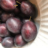 Faux Plum - Greige - Home & Garden - Chiswick, London W4 