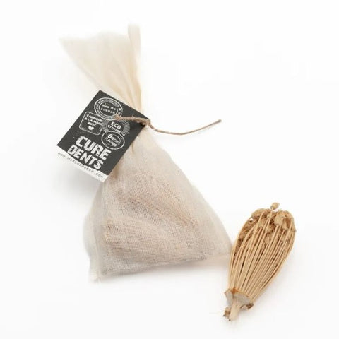 Natural Fennel Flower Toothpicks in muslin bag