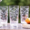 Fern engraved lead crystal vintage style highball glasses