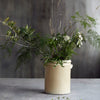 Ceramic Flowerpot or Utensil Pot - Sand - Three Sizes