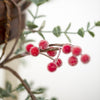 Frosted Faux Red Berry Garland - 150cm