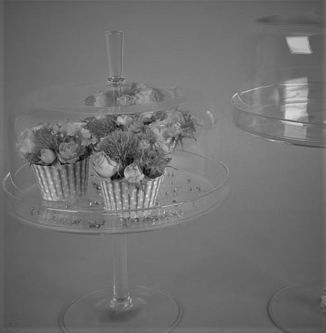 Footed Glass Cake Stand & Dome - Greige - Home & Garden - Chiswick, London W4 