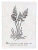Botanical Print on Hand Made Paper