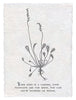 Botanical Print on Hand Made Paper