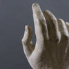 Large Hand Study - Greige - Home & Garden - Chiswick, London W4 