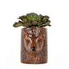 Hedgehog Pencil Pot by Quail Ceramics