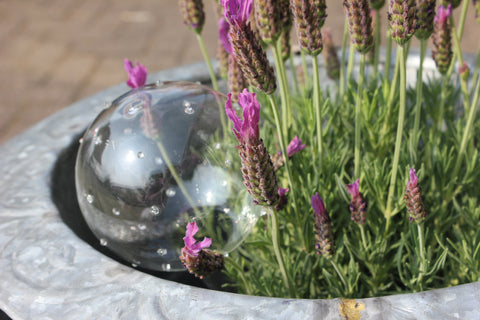 Glass Watering Globe - Greige - Home & Garden - Chiswick, London W4 